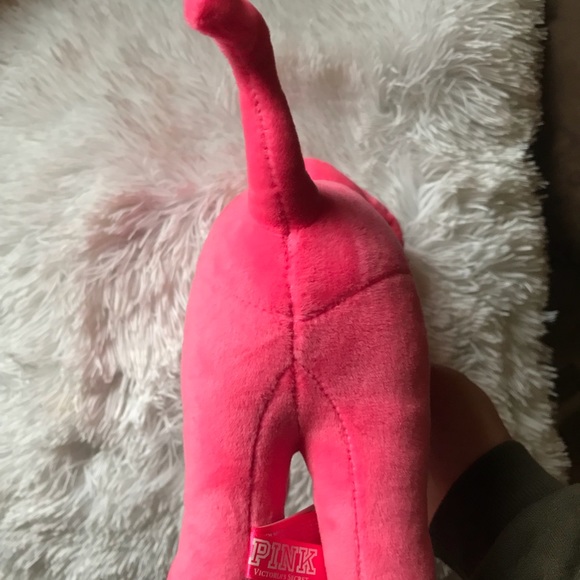 Pink nation dog - Picture 3 of 5